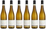 Peter & Peter Riesling Aus Der Steillage Feinherb Qba Mosel (6 x 0.75 l)