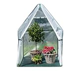 WESTMANN Überwinterungszelt Chili | 120x120x180 cm Weiß| Pflanzenschutz & Foliengewächshaus zum Überwintern von Pflanzen (120x120x180 cm)