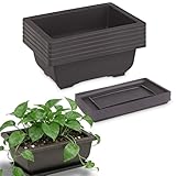 Bonsai Schale,6 Stück Bonsaischale mit Untersetzer, Kunststoff Tief Blumentopf,Wiederverwendbar Bonsai Topf Pflanzenschale,Topfpflanzen,Bonsaischales für Garten,Balkone,Büros,Wohnzimmer (16x12x6cm)