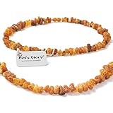 Bernsteinhalsband für Hunde und Katzen - Zertifizierter Ostsee-Rohbernstein in Premium-Qualität - 32cm