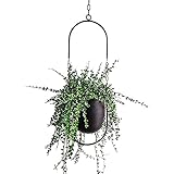 Hängende Dekoration Topf Metall Boho Hängekorb Decke Hängende Pflanzer für Zimmerpflanzen Sukkulenten Luftpflanzen Kaktus (Schwarz)