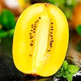 kiwisamen,kiwibeeren winterharte für garten balkon exotische mehrjährig gewächshaus 65pcs
