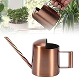 Gießkanne Zimmerpflanzen 300ml Mini Gießkanne: HOMURY Edelstahl Gießkanne mit Langen Hals Metall, Edelstahl Gießkanne klein Garten Gießkanne für Topfpflanzen/Hängepflanzen Home Büro (Bronze)