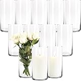 Giessle® 12 x 20cm große Glaszylinder als Vase Windlicht Zylinderglasvasen Zylindervase Kerzenglas Blumenvase aus Glas