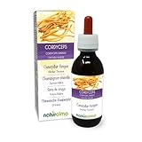 Cordyceps oder Chinesische Raupenpilz (Cordyceps sinensis oder Ophiocordyceps sinensis) Pilz Alkoholfreier Urtinktur Naturalma - Flüssig-Extrakt Tropfen 120 ml - Nahrungsergänzungsmittel - Veganer
