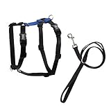 Blue-9 Pet Products No-Pull Balance Harness and Loose Leash Walking Set Dogs, Made in The USA, Blau, Größe S