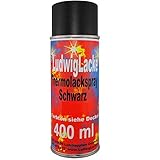 Thermolack 1x Spraydosen 400ml Schwarz Auspuff Motor Autolack geeignet für Bremssattel