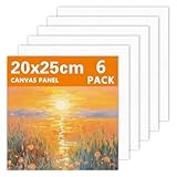 Leinwand zum Bemalen, 6 Stk 100% Reines Baumwolle Leinwände zum Malen, Vorgespannte Weiße Künstler Leinwand Set, 20x25cm Kleine Keilrahmen Malkarton für Acryl ölfarben