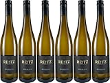 Weinmanufaktur Reitz Riesling 2024 Süß (6 x 0.75 l)