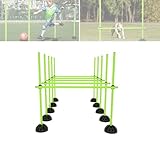 ACXIN Agility Sprungstangen Set Trainingsstangen für konditionelles, Multifunktionales Hürdenset Training für Sprungkraft, Dribbeln, Schulsport (Grün)