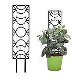 Sempoda Pflanzenstütze für Kletterpflanzen, Mondform Eisen Garten Topfpflanze Rankhilfe Halterung, Rostfrei Geometrische Pflanzenrahmen Halter Rack für Indoor Outdoor Zimmerpflanzen Reben Efeu