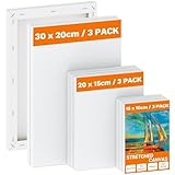 Koncci Leinwand zum Bemalen - 9 Stück (30x20 20x15 15x10cm) Keilrahmen Leinwand aus Säurefreie Baumwolle 280g/m² Dreifach Grundiert, Canvas Leinwände für Acrylfarben Ölgemälde, Anfänger Künstler