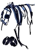 Aces Equine Nylongeschirr für Pferdewagen, Schwarz / Blau (COB)