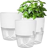 iDattel Kräutertopf Küche Set Fensterbank selbstbewässernd-3er Set Kräutergarten für die Küche,18.2X 11x 15.3 cm, für frische Küchenkräuter, weiß