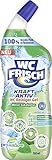 WC-Frisch WC Reiniger Gel Kraft Aktiv Pro Nature Minze-Eukalyptus (750 ml), Toilettenreiniger mit 4-fach Aktivstoff-Kombination, 100% recyceltes Plastik im Flaschenkörper