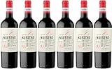 Nuestro de Díaz Bayo Nuestro 8 meses Ribera del Duero DO 2022 Trocken (6 x 0.75 l)