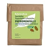 Futura-Shop Pheromonfalle für Teppichkäfer & Pelzkäfer | Klebefalle mit natürlichem Lockstoff zur Befallsermittlung & Bekämpfung | Giftfrei & geruchsneutral für den Menschen