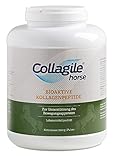 Collagile horse - 2500g - Bioaktive Kollagenpeptide®