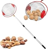 Walnuss Sammler Nusssammler Obstsammler Rollsammler Mit Verstellbarer Teleskopstab Edelstahl Haselnuss Sammler Outdoor Kugelpflücker Für Nüsse Früchte Pekannüsse Pflaumen Golf