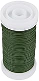 Rayher 2425013 Blumendraht, grün lackiert, 0,35 mm ø, SB-Btl. Spule 100 m, Material Eisen, nickelfrei, Basteldraht, Wickeldraht
