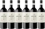 Nuestro de Díaz Bayo Nuestro 20 meses Ribera del Duero DO 2015 Trocken (6 x 0.75 l)