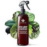 Big Leaf Energy Bio-Neemöl-Spray für Pflanzen + ätherische Öle: gebrauchsfertige Pflanzenwäsche für Zimmerpflanzen und Gärten im Freien, natürlicher Blattglanz