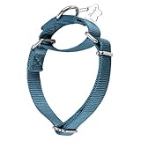 Dazzber Martingal Halsbänder für Hunde, Verstellbar Langlebig Kein Escape Stop Ziehen Hundehalsband Nylon für Große/Mittlere/Kleine Hunde (M(36cm-53cm), Haze Blau)