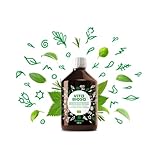 Vita Biosa Original 500 ml in Bio Qualität - Fermentgetränk mit Milchsäurebakterien aus 19 Kräutern - Mikroorganismen für ein gutes Bauchgefühl - Zutaten aus kontrolliert biologischem Anbau (kbA)