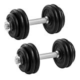 SONGMICS Hanteln, Hantelset aus Gusseisen, Kurzhanteln, 2 x 15 kg, verstellbar, Workout, Fitnesstraining, Gewichtheben für Zuhause, Fitnessstudio, tintenschwarz SYL30T