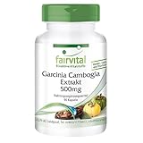 Fairvital | Garcinia Cambogia Kapseln - 500mg Garcinia Cambogia Extrakt pro Kapsel - HOCHDOSIERT mit 60% HCA - VEGAN - 90 Kapseln