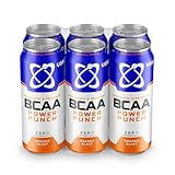 USN - Bcaa Power Punch (6x500ml) - BCAA-Getränke - Boissons énergisantes aux saveurs fruitées - Orange