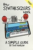 How Synthesizers Work: A Simple Guide (Simple Guides, Band 1)