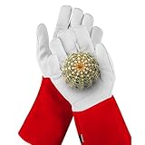NoCry dornensichere und stichfeste Gartenhandschuhe aus Leder mit extra langem Unterarm-Schaft, verstärkten Handflächen und Fingerspitzen, Größe M, 1 Paar