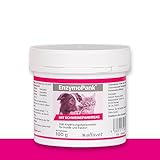 Alfavet EnzymoPank, bei unzureichender Verdauung, exokriner Pankreasinsuffizienz, für Hund und Katze, Diät Ergänzungsfuttermittel, Pulver, 100g