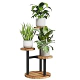 Bamworld Blumenständer Holz Pflanzenständer Pflanzenregal Indoor Blumenregal Kleines Metall Blumenständer für Terrasse, Garten, Balkon, Wohnzimmer, Schlafzimmer (3 Etagen)