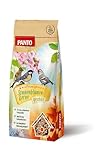 PANTO Sonnenblumenkerne geschält 10 kg – Wildvogelfutter aus Sonnenblumenkernen, ganzjähriges Vogelfutter für Futterplätze & Vogelhäuschen