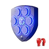 CAZSTYK Immersive Heimboxsysteme mit Sound LED-Lichtern Dynamische Beleuchtung Textur geeignet für motivierende Workouts Boxausrüstung