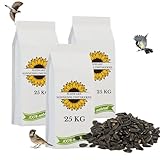 Schwarze Sonnenblumenkerne 75 kg Wildvogelfutter ganzjähriges Futter Vogelfutter Jungtiere geeignet Winterfutter 75kg Ernte 2024 3X 25kg