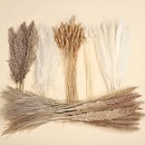 120 Stück Pampasgras Deko getrocknete Pampas mit klein Schilf Pampasgras, Trockenblumen, Hasenschwanzgras - für Wohnzimmer Tisch, Hochzeit, Schlafzimmer Trockenblumen Deko