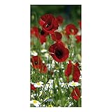 Textilbanner Dekobanner Stoffbanner Stoffposter Mohn-Blumenwiese 1 x 2 m