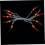 Alipis Rote Chili Lichterkette Leds Batteriebetrieben Wetterfest Langlebig Vielseitige Camping Lichterkette für Indoor und Outdoor Festival Dekoration