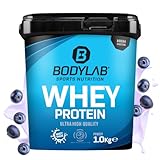 Bodylab24 Whey Protein Pulver, Blaubeere, 1kg