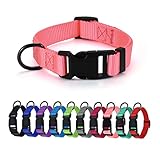 AUDWUD Dickes Nylonhalsband,klassisches verstellbares Hundehalsband in Mehreren Farben,geeignet für kleine,mittlere und große Hunde,4 Größen