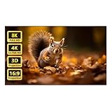 80/100 Zoll Projektionsleinwand mit Festem Rahmen, 16:9 Rahmenleinwand mit Anti-Knitter, 4K 8K HD 3D Wandmontage Filmleinwand for Heimkino(60in 16:9)