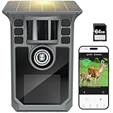 Hrivcam 4K 64MP Wildkamera mit Handyübertragung APP, Solar WLAN Bluetooth Eingebaute 5000mAh, 64GB Speicherkarte, Wildkamera mit Bewegungsmelder Nachtsicht, IP67 Wasserdicht 130°Weitwinkel