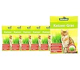 Dehner Lieblinge Saatgut Katzengras, 6 Stück (600 g)