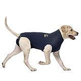 MPS Medical Pet Shirt, Hund, Blau, für große Hunde