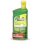 Neudorff Azet Grünpflanzendünger – 100% natürlicher Bio Dünger für schnelles Wachstum und tiefgrüne Blätter aller Grünpflanzen und Palmen, 1 Liter