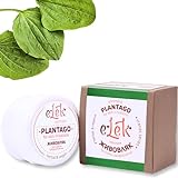 ELEK Bio Spitzwegerich Juckreiz Salbe 40ml - Mittel gegen Juckende Mückenstiche - Tattoo Creme - Hautsalbe - Natürliche Entzündungshemmende Salbe - Schuppenflechte Salbe - Neurodermitis Creme