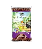 Dehner Natura Premium Wildvogelfutter, Rosinen Delikatesse, Futterrosinen, Ganzjahresfutter energiereich, hochwertiges Vogelfutter für Wildvögel, 5 kg